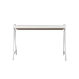 Schaffenburg Domestico bureau wit achterkant
